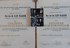 Verleihungsurkunden: Goldenes Ingenieurdiplim und Goldenes Doktordiplom, 11. Juli 1974  