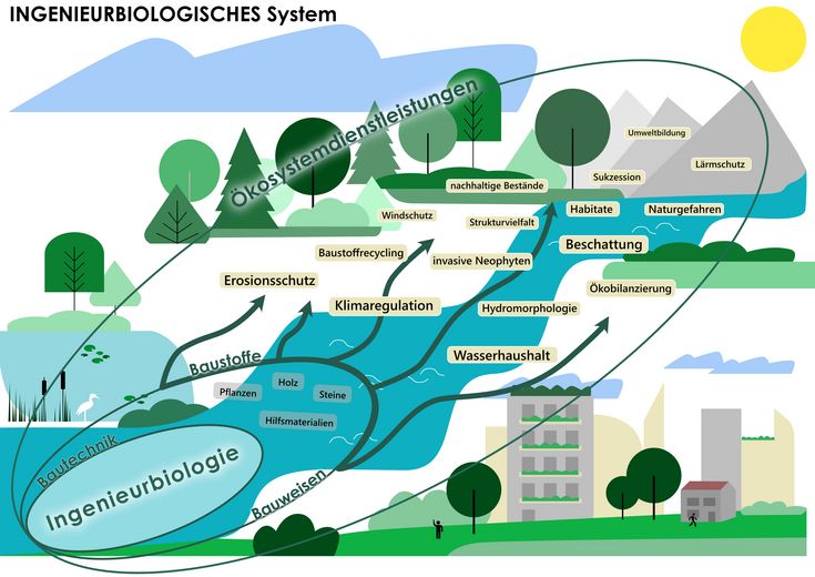 Grafik: Ingenieurbiologisches System