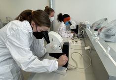 Teilnehmerinnen mikroskopieren im Mikrobiologielabor