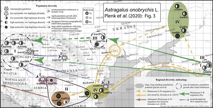 Grafik zur Biogeographie des Langfahnen-Tragants.