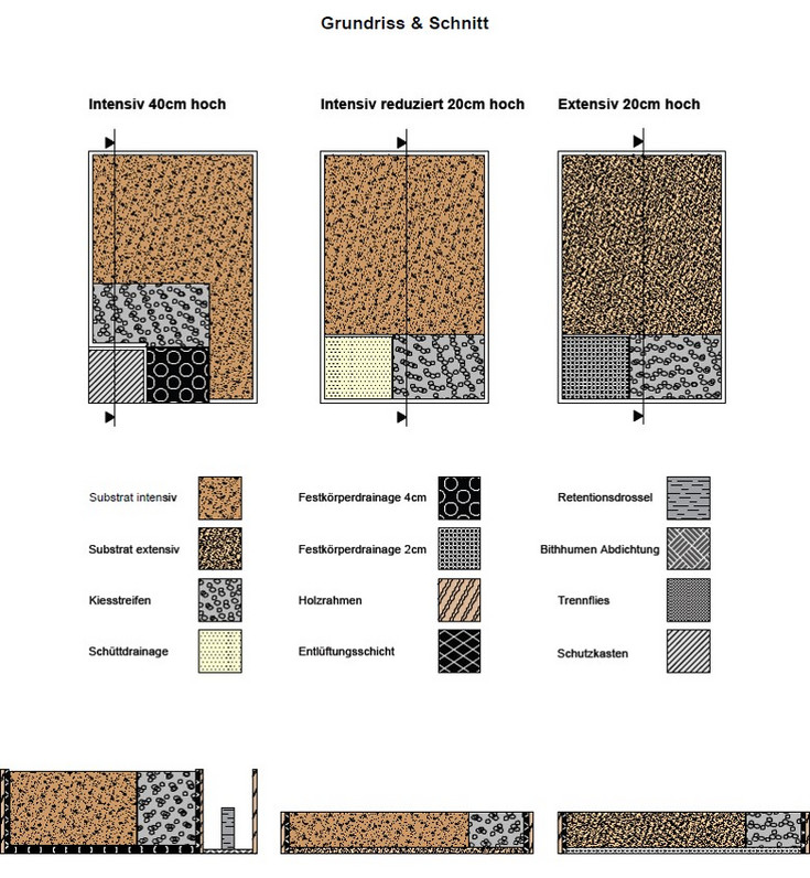 Schematische Darstellung