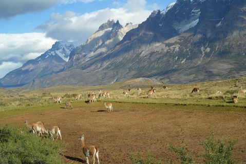 patagonia Bild von Katrin Schulz auf Pixabay