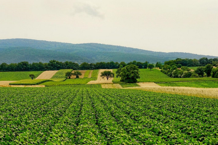 The picture shows an idyllic, green agricultural landscape with fields, trees, and hills in the background