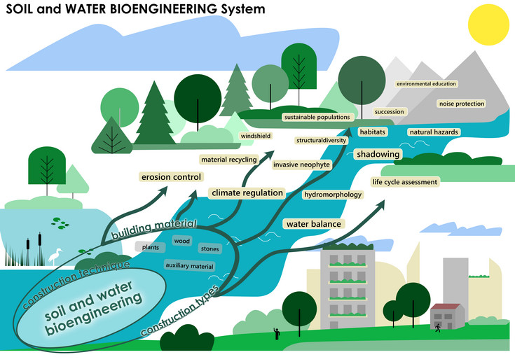 Drawing: Engineering Biological System