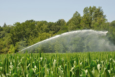 Water sprinkler installation in a field