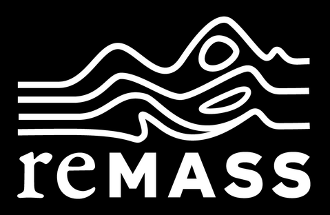 Logo REMASS Project