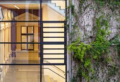(dekoratives Element) gläsernes Treppenhaus der BOKU links im starken Kontrast zur mit Kletterpflanzen bewachsenen Gebäudemauer