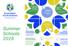 ELLS Logo und Liste einiger Summer Schools