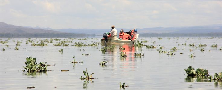 students in a boat on a lake with plenty of aquatic plants (Kenya)