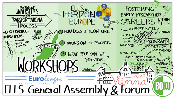 ELLS GAF 2020 Workshop Reports Graphic Recording (chartflipper.de)