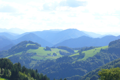 Calauer/Wikipedia