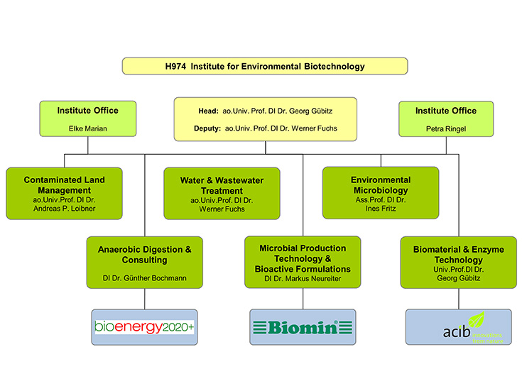Organisation chart of the Institute of Environmental Biotechnology Organisation chart of the Institute of Environmental Biotechnology