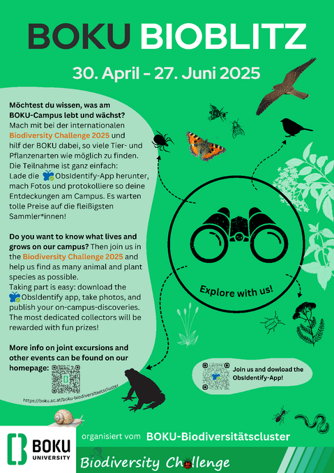 Poster BOKU BioBlitz 2025 ©