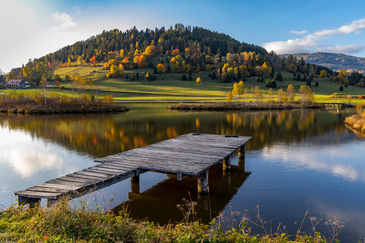 autumn pond under the mountains, Murau district,
Styria, Austria