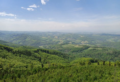 Landschaft mit Wald und Wiesen