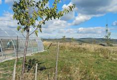 Landschaft mit Gewächshaus